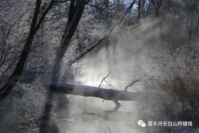 古怪巫师逃离村庄